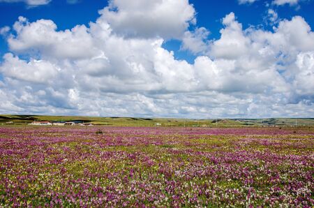 Qinghai sceneicの写真素材
