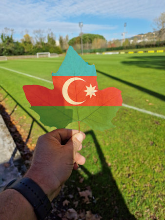 hand holding a tree leaf with the flag of Azerbaijanの写真素材