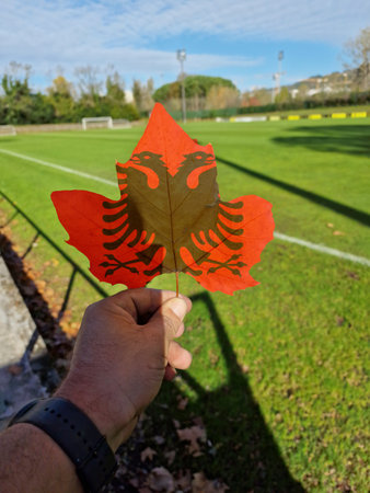 hand holding a tree leaf with the flag of Albanianの写真素材