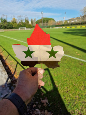 hand holding a tree leaf with the flag of Syriaの写真素材