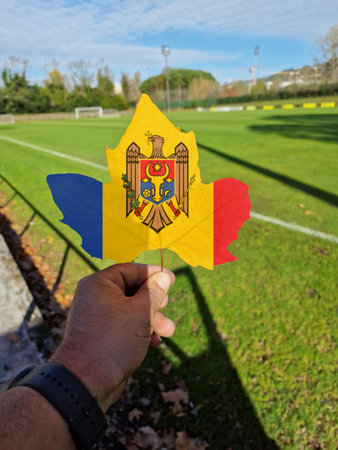 hand holding a tree leaf with the flag of moldovaの写真素材