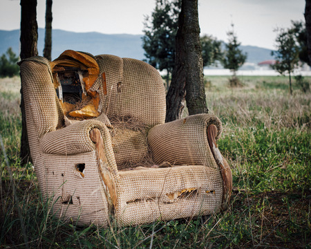 Armchair abandoned in the forest #2の写真素材