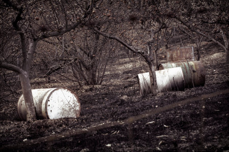 Drums burned in a fruit tree. The consequences of the zambrana fire, Alava, Basque Country.の写真素材