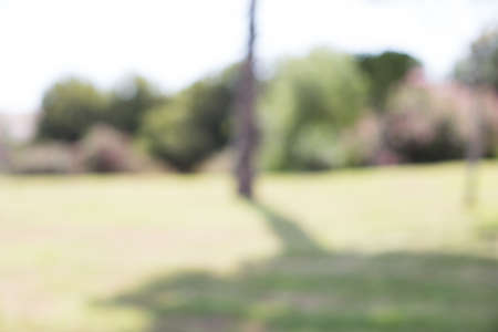 blurred park background in summerの写真素材