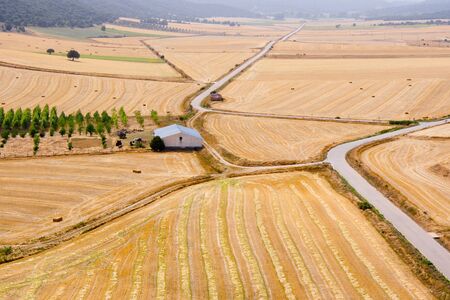 Aerial view of harvested wheat fields divided by roadsの写真素材