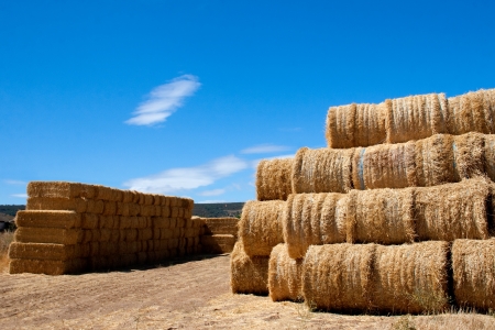Stack of square bales of straw in front of another round balesの写真素材