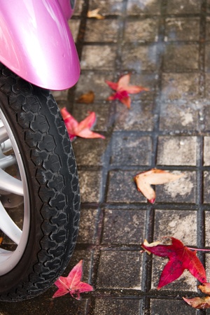 Detail of a pink motorcycle tire parked on the sidewalk wet and full of red maple leaves  Focus on the tread の写真素材