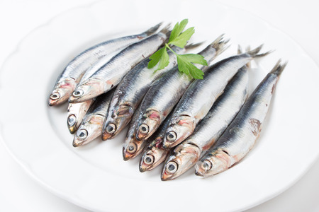 Fresh anchovies with parsley in a dishの写真素材