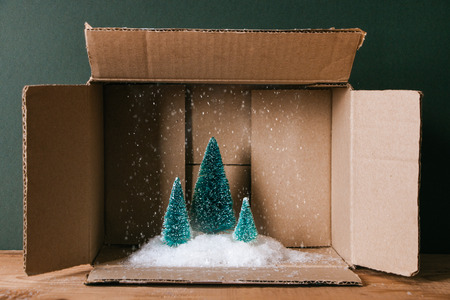 Miniature of Christmas trees with snow in a cardboard box. Concept of magic Christmas present