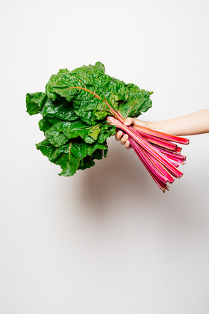 Hand of a girl holding a fresh bunch of swiss chard against a white backgroundの写真素材