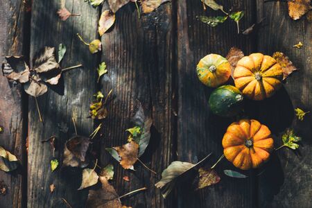 Thanksgiving background with small decorative pumpkins and fallen leaves on a rustic wooden table outdoors. Top view, flat layの写真素材