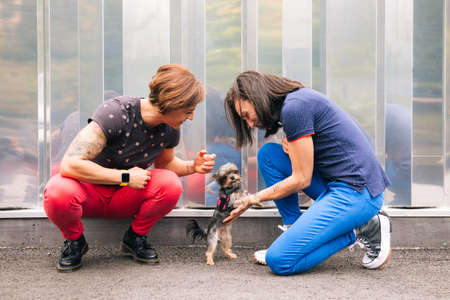 Happy middle aged lesbian couple crouching to play with their yorkshire terrier with a metallic wall at the backgroundの写真素材