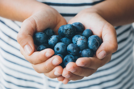 Little girl hands holding ripe blueberries. Blue stripped t-shirt at the backgroundの写真素材