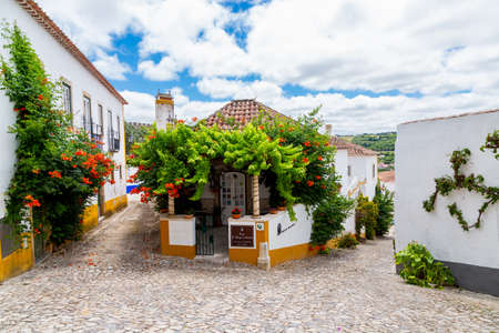 Ãbidos, Portugal - June 27, 2021: Picturesque guest house in Ãbidos village covered by vines and flowersのeditorial素材