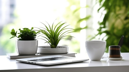 Laptop, coffee cup and houseplants on white table indoorsの素材