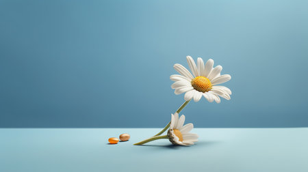 Chamomile flower and pills on blue background. Minimal style.の素材