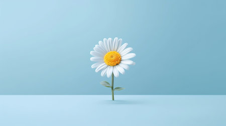 Daisy flower on blue background. 3d render. Minimal concept.の素材