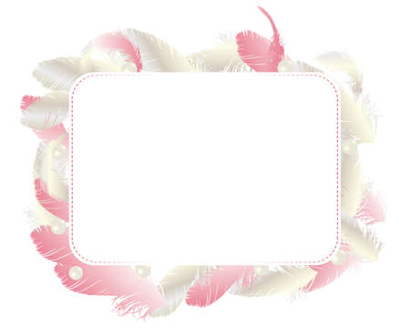 feather cardのイラスト素材