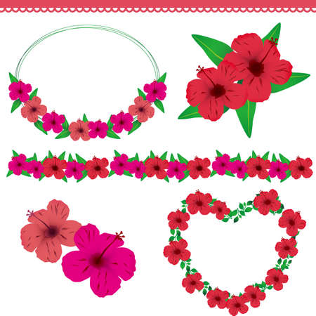 hibiscuses setのイラスト素材