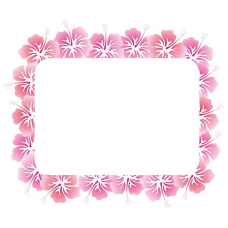 hibiscuses backgroundのイラスト素材