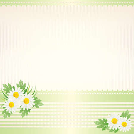 white daisy backgroundのイラスト素材