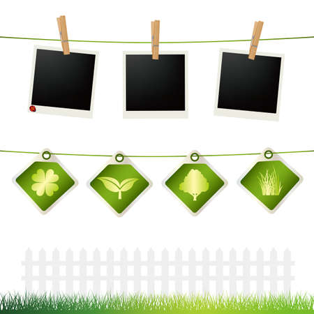 eco frameのイラスト素材