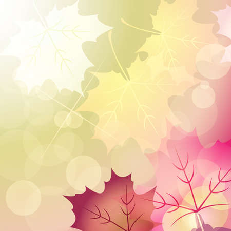 maple and brilliance backgroundのイラスト素材