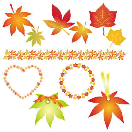 set of fallen leavesのイラスト素材