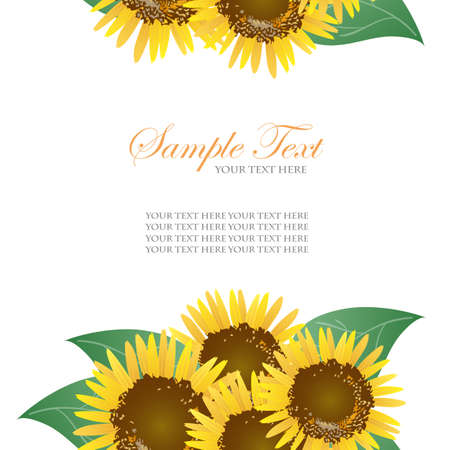 sunflower background のイラスト素材