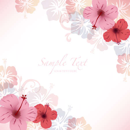 hibiscus backgroundのイラスト素材