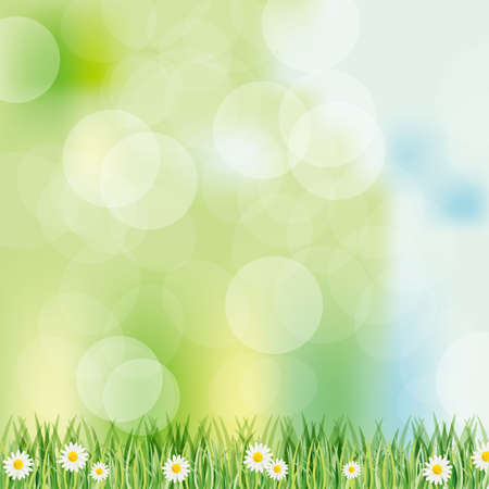 spring background with daisyのイラスト素材