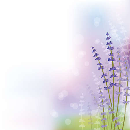 lavender backgroundのイラスト素材