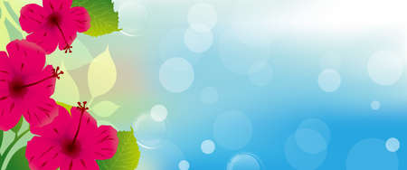 tropical hibiscus backgroundのイラスト素材