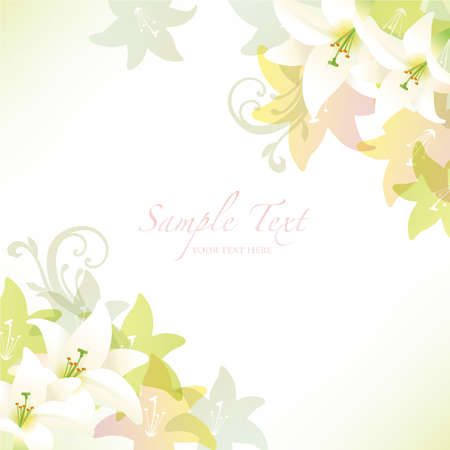 lilies backgroundのイラスト素材