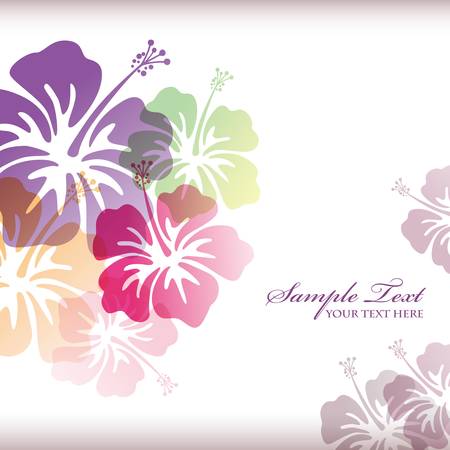 hibiscus backgroundのイラスト素材