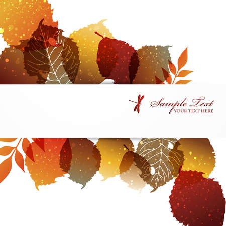 fallen leaves backgroundのイラスト素材