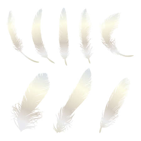 feather setのイラスト素材