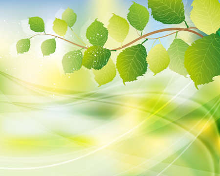 green leaves backgroundのイラスト素材