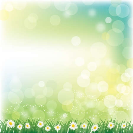 daisies backgroundのイラスト素材