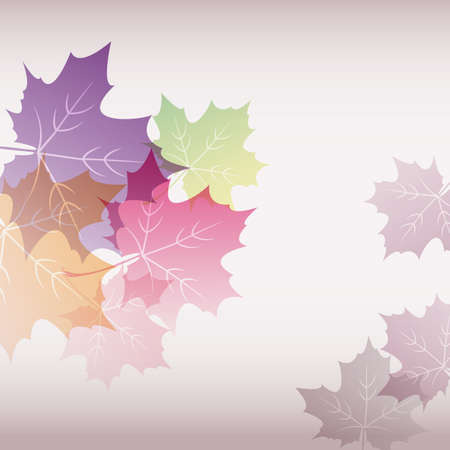 vector illustration background of mapleのイラスト素材