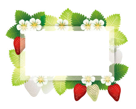 frame with strawberry and blossom backgroundのイラスト素材