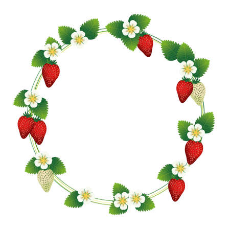 frame with strawberry and blossom backgroundのイラスト素材