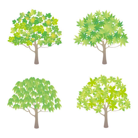 Green leaf tree illustration setのイラスト素材