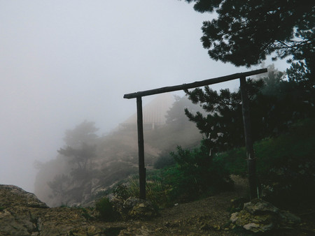 Wooden arches in the fogの写真素材