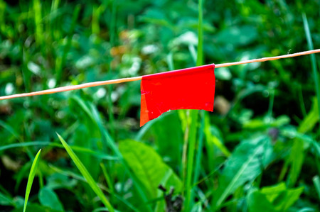 Macro red flagの写真素材