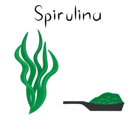 Spirulina. Healthy detox natural product. Organik dietary supplement algae and powder. Superfood for homeopathy. Cartoon vector illustrationのイラスト素材