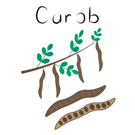 Carob. Healthy detox natural product. Organik dietary supplement food. Superfood, bean for homeopathy. Cartoon vector illustrationのイラスト素材