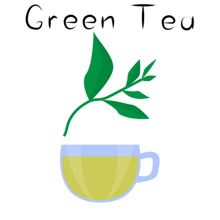 Green tea. Healthy detox natural product. Organik dietary supplement drink. Superfood, plant for homeopathy. Cartoon vector illustrationのイラスト素材