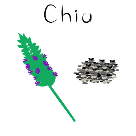 Chia. Healthy detox natural product. Organik dietary supplement food. Superfood, seeds for homeopathy. Cartoon vector isoleted illustrationのイラスト素材