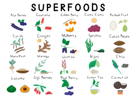 Big set with 20 different superfoods. Healthy detox natural product. Organik dietary supplement fruit. Vegetable, seed, fruit, berry for homeopathy. Cartoon vector illustrationのイラスト素材
